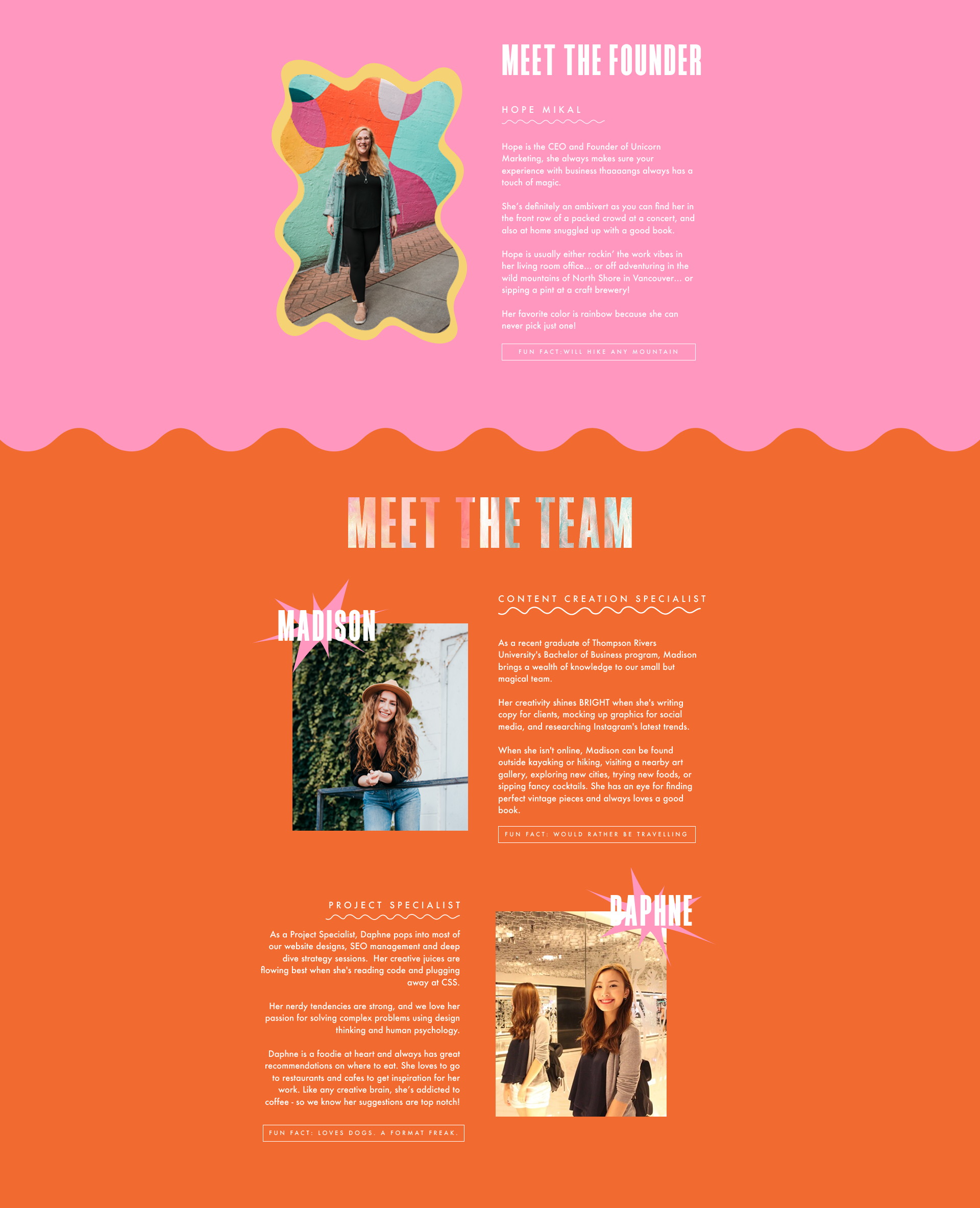 Before redesign of team section